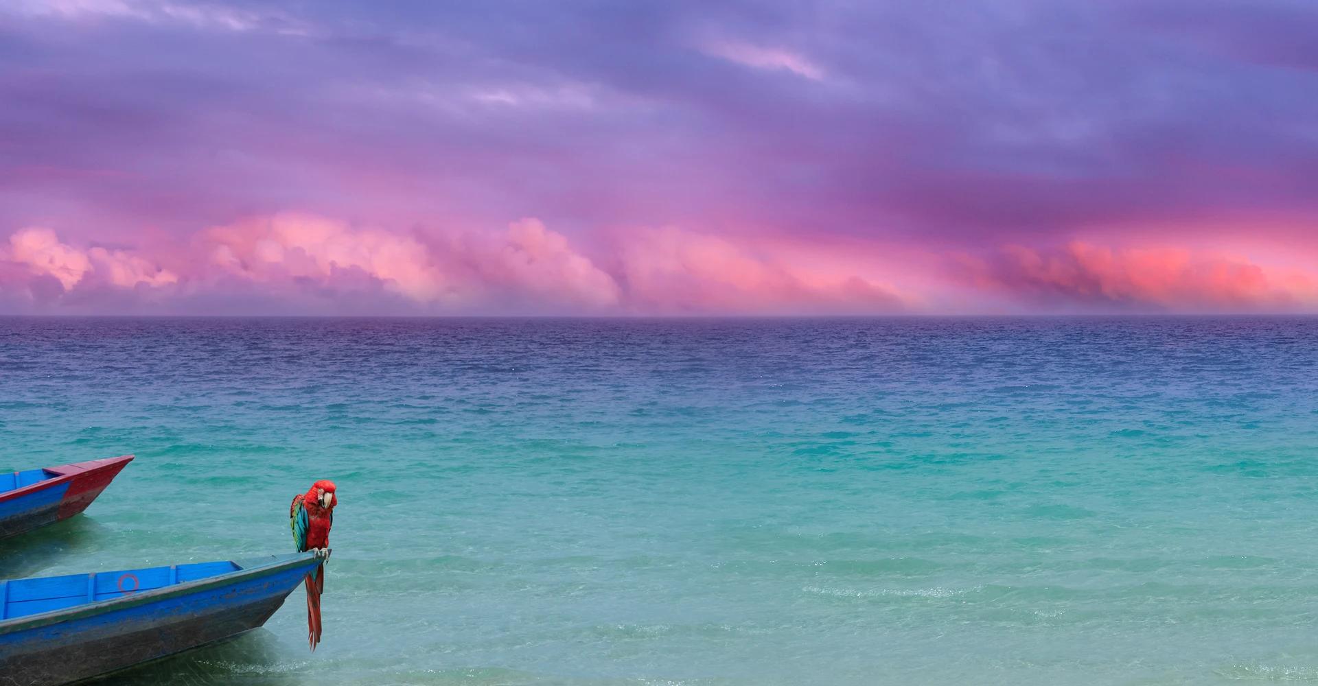 meer lila hintergrund