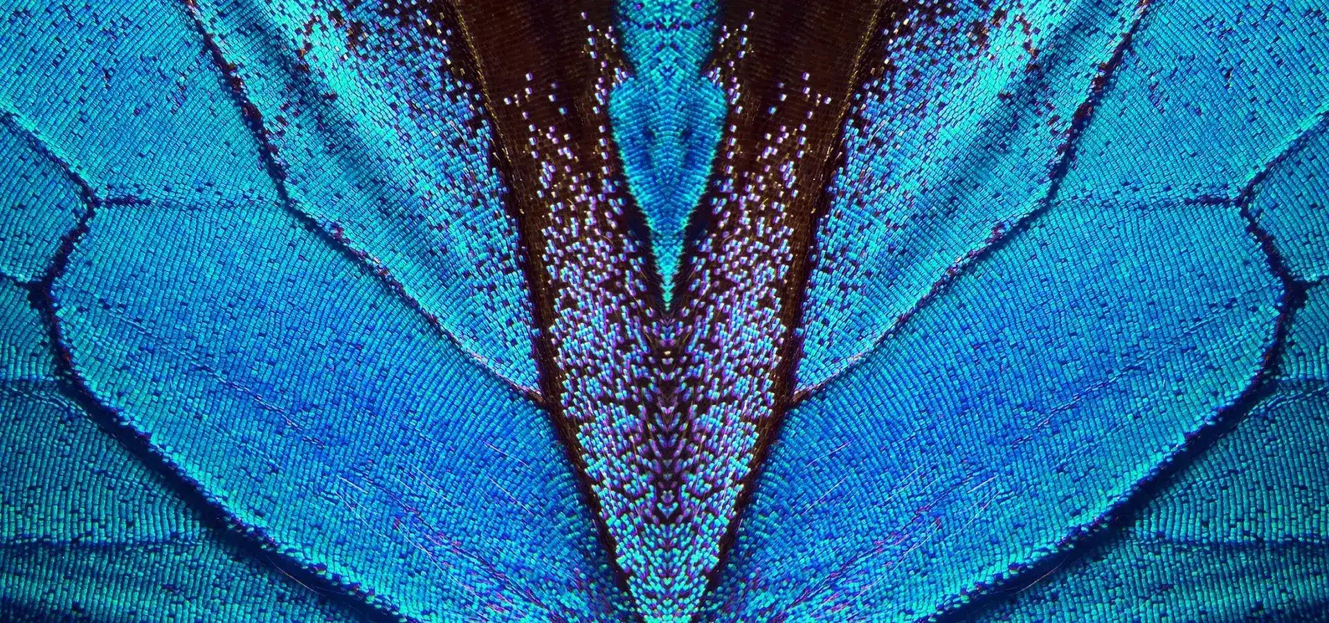 xiaomi redmi note 15 5g