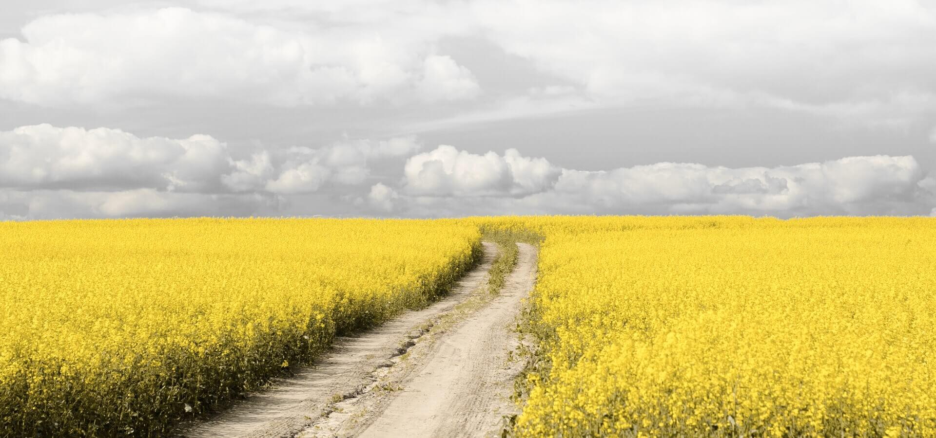 Samasung Galaxy S24 bei 1&1 erleben samsung-galaxy-s24-bei-1und1.png