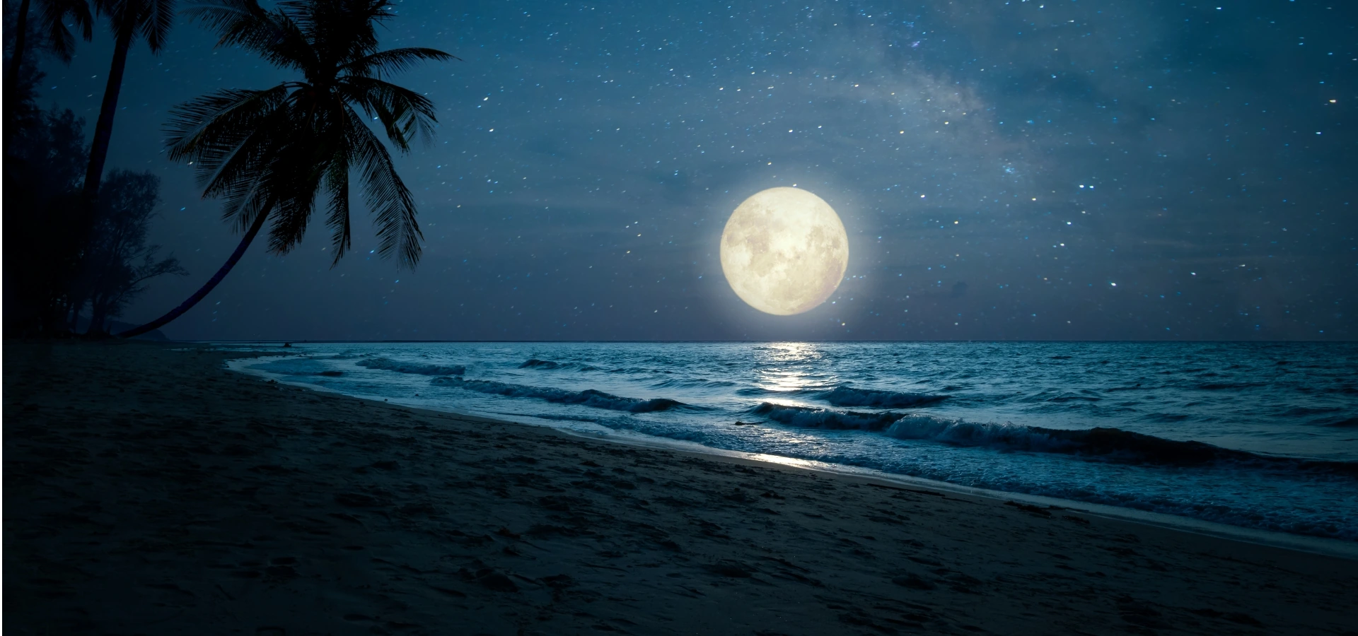 nacht am strand links palmen am horizont vollmond | 1&1 nacht am strand links palmen am horizont vollmond