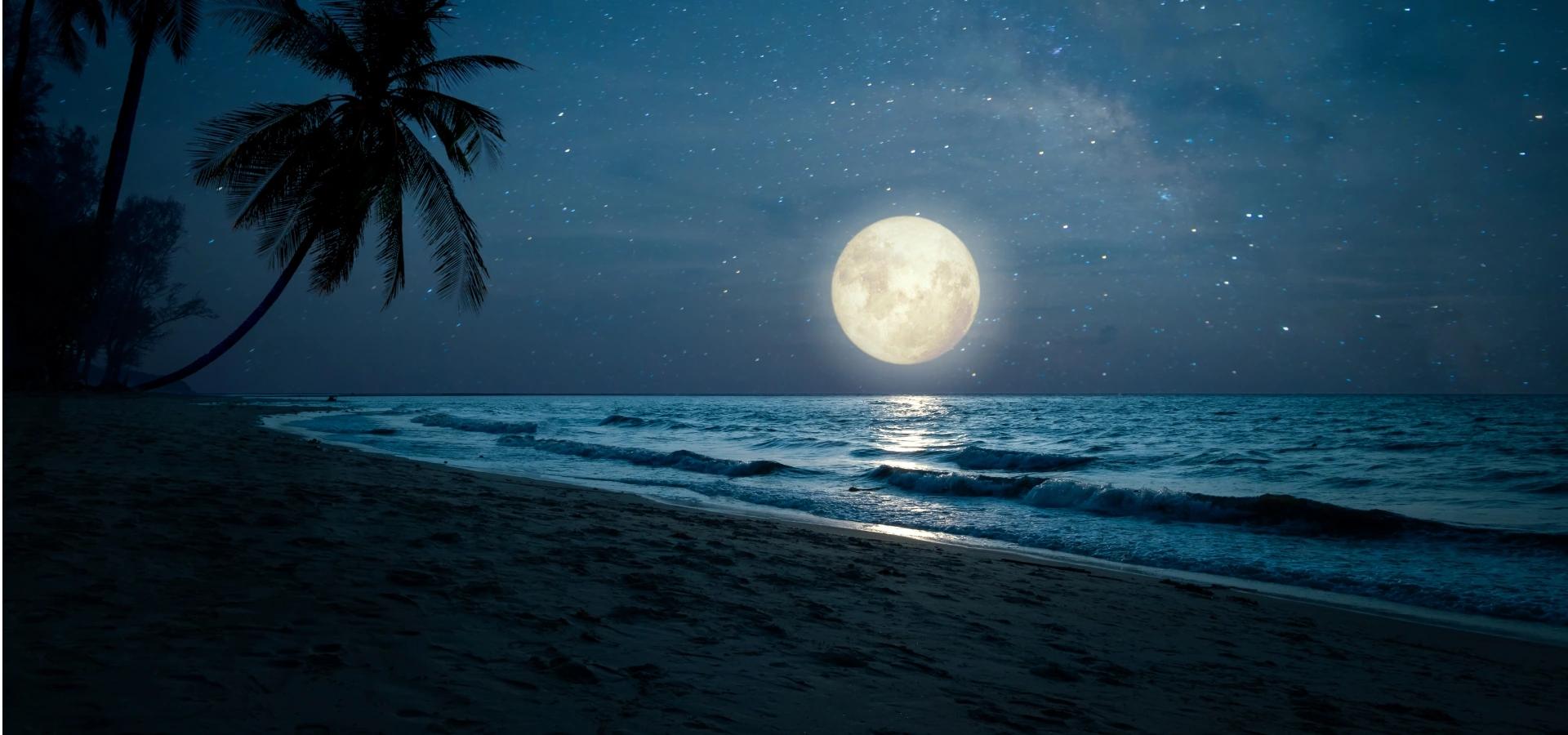 nacht am strand links palmen am horizont vollmond