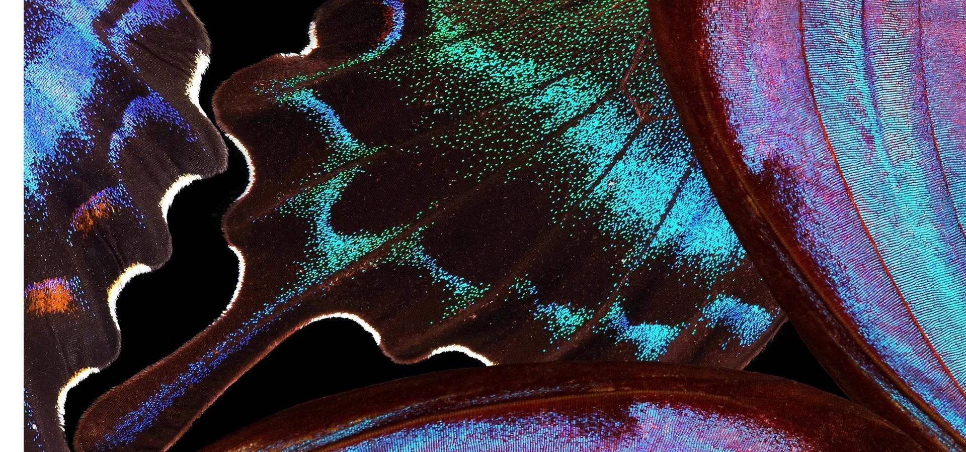 xiaomi redmi note 15 pro