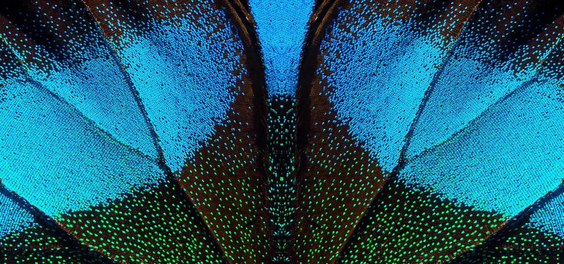 xiaomi redmi note 15 pro 5g