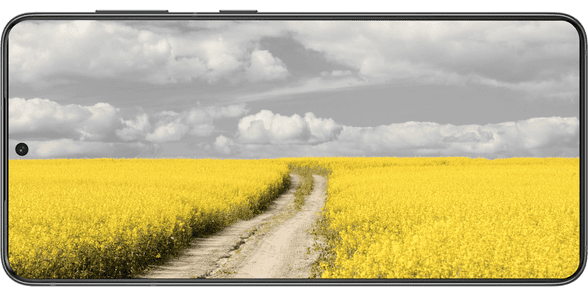 Samsung Galaxy S24 mit Vertrag bei 1&1 samsung-galaxy-s24-mit-vertrag.png