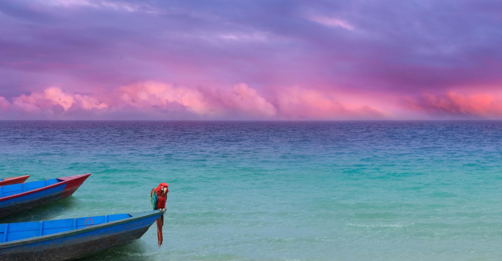 meer