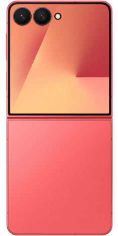 Back Image